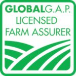 Certificación GLOBAL GAP